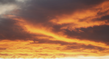Naklejka na ściany i meble Dense orange clouds during sunrise.