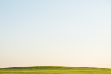 Fototapeta premium beautiful blue sky yellow autumn field, amazing landscape