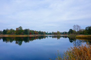 Obraz premium beautiful lakeside with trees and refelctions in autumn