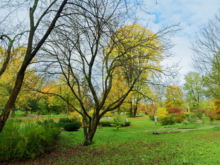 Obraz premium Herbstfarbe im Kurpark und Botanischer Garten von Bad Bellingen in Südschwarzwald