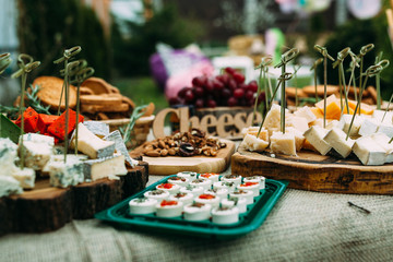 Varied Cheese Layout in the Open Air