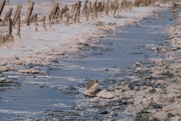 picturesque scenery, natural beautiful background, white salt lake with salt crystals, salt flat, pink lakes