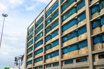 Fototapeta premium Chickens transportation in cramped cage stacked on a truck