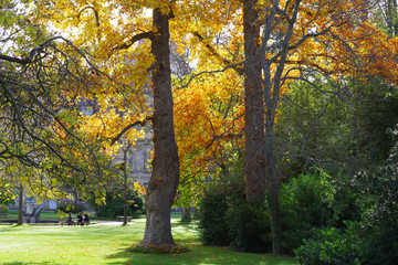 Feuillages d'automne