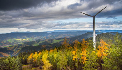 Blick vom Brandenkopf Turm im Schwarzwald