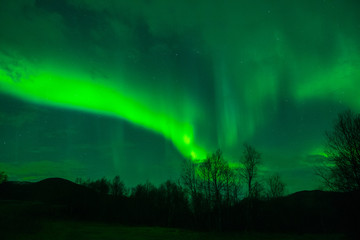 amazing northern lights at norvegian night