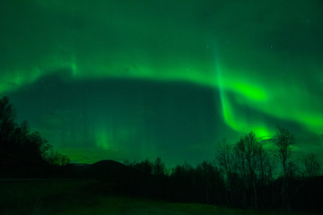 amazing northern lights at norvegian night