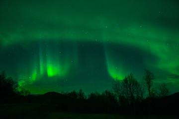 Obraz na płótnie Canvas amazing northern lights at norvegian night