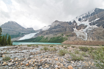 Berg lake trail in Mt. Robson provincial park