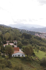 Landscape in the Basque Country