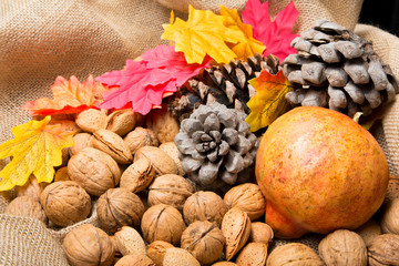 Autumn still life with nuts and almonds and pomegranate, flowers and pineapples on brown background
