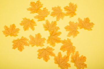 yellow and red leaves on yellow background