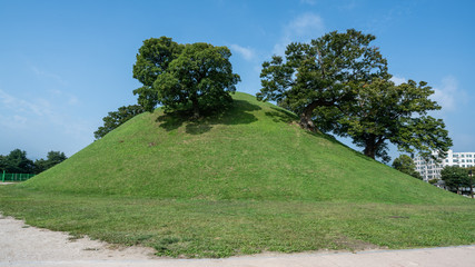 Bonghwangdae tomb tumulus with trees on top in Gyeongju South Korea