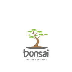 Logo with Bonsai Tree Icon. Vector File 