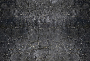 Background with burnt wood texture. Black charred wood background.