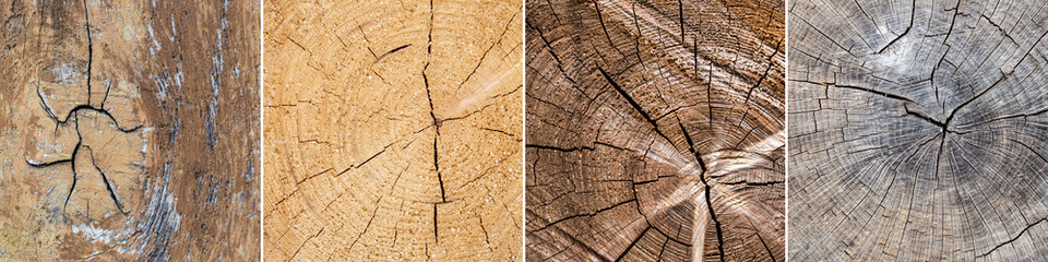 Fototapeta premium collection of 4 old wood surface textures
