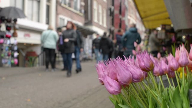 The Tulips Market in Amsterdam. Crowd of people on a Street