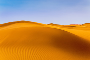 Fototapeta na wymiar Gold arid desert landscape on Sinai, Egypt