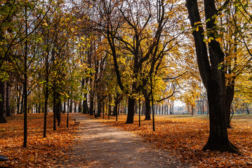  Park Konstytucji 3 Maja w Białymstoku, Jesień w parku Zwierzynieckim, Białystok, Podlasie
