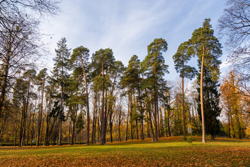  Park Konstytucji 3 Maja w Białymstoku, Jesień w parku Zwierzynieckim, Białystok, Podlasie