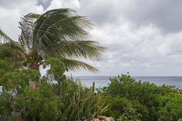 Fototapeta na wymiar sea beach coast tropical Bonaire island Caribbean sea