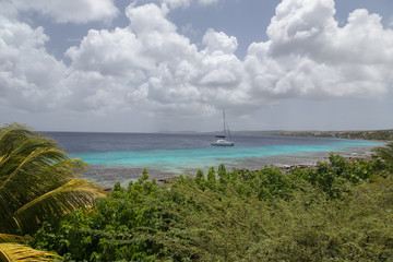 sea beach coast tropical Bonaire island Caribbean sea