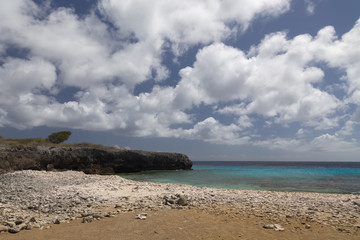 sea beach coast tropical Bonaire island Caribbean sea