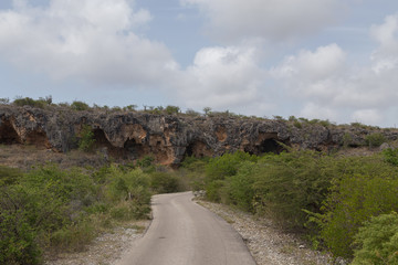 sea beach coast tropical Bonaire island Caribbean sea