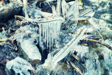 Icicles between running waters on the border of a frozen river in winter