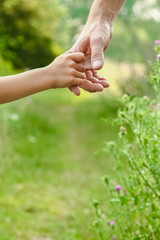hands of parent and child in nature