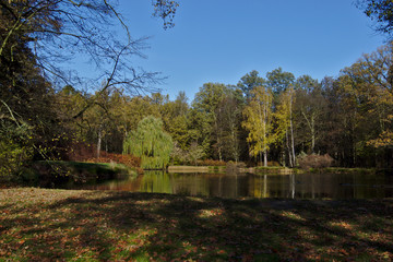 Fototapeta na wymiar Park lake in autumn