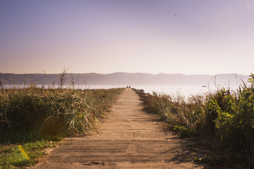 Road on the Vejle fjord coast during sunset