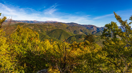 Panoramica de arboles y bosque en otoño