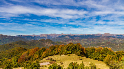 Panoramica de un bosque en otoño