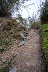 Trail on the Annapurna Base Camp Trek in tropical Rain forest Nepal.