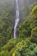 natural waterfall on the island of Madeira