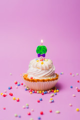birthday cupcake with candle