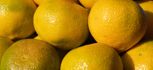 Tangerines as background and texture.
