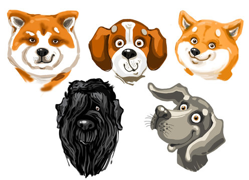 Set of portraits of dogs: Japanese Akita, Beagle, Shiba Inu, Russian Black Terrier, Weimaraner. Watercolor illustration