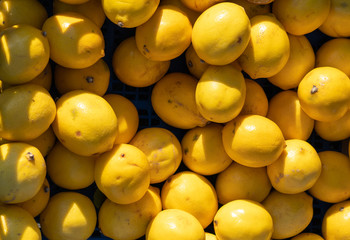 Lemons as background and texture