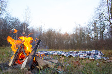A bonfire burns in a forest clearing next to a picnic blanket.