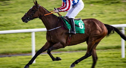 Horse racing action, close up panning motion blur effect on race horse and jockey racing