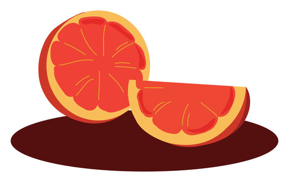 Blood orange, illustration, vector on white background.