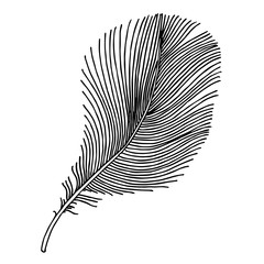 Vector bird feather from wing isolated. Black and white engraved ink art. Isolated feathers illustration element.