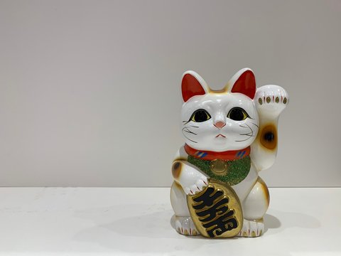 Japanese lucky Cat for bring the costumers and money 