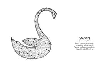 Naklejka premium Swanpolygonal vector illustration
