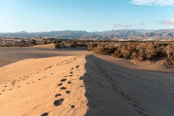 Sand dunes of Maspalomas nature reserve
