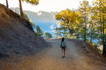 Young Active Woman Hiking Along Beautiful Green Forest Taburiente National Park