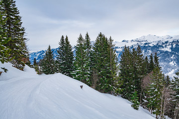 beautiful mountains and sky in winter