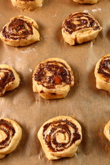 Rolls on backing paper. Making Poppy Seed Snail. Sweet Roll Bun.